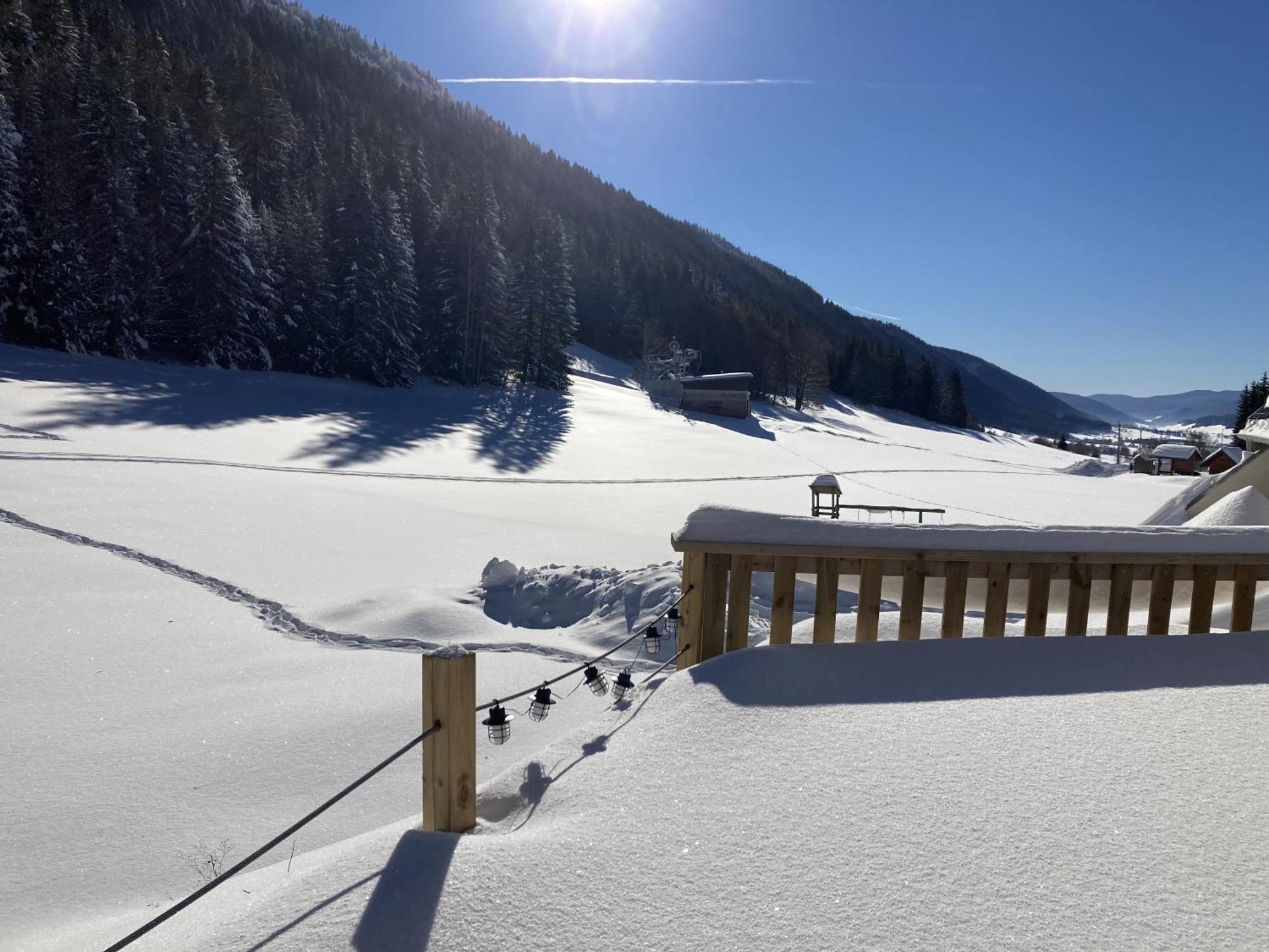 Gite La Resilience, Sur La Piste De Ski D'Autransヴィラ 部屋 写真