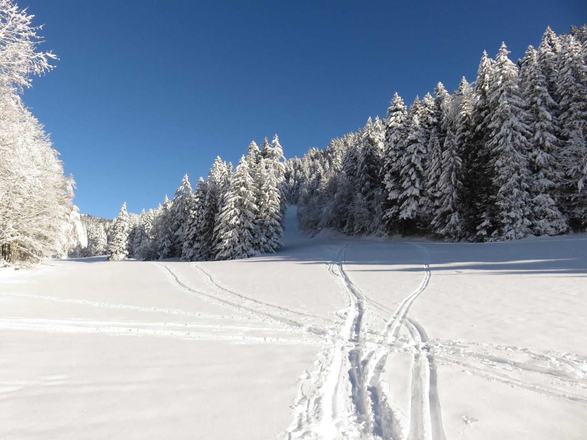 Gite La Resilience, Sur La Piste De Ski D'Autransヴィラ エクステリア 写真